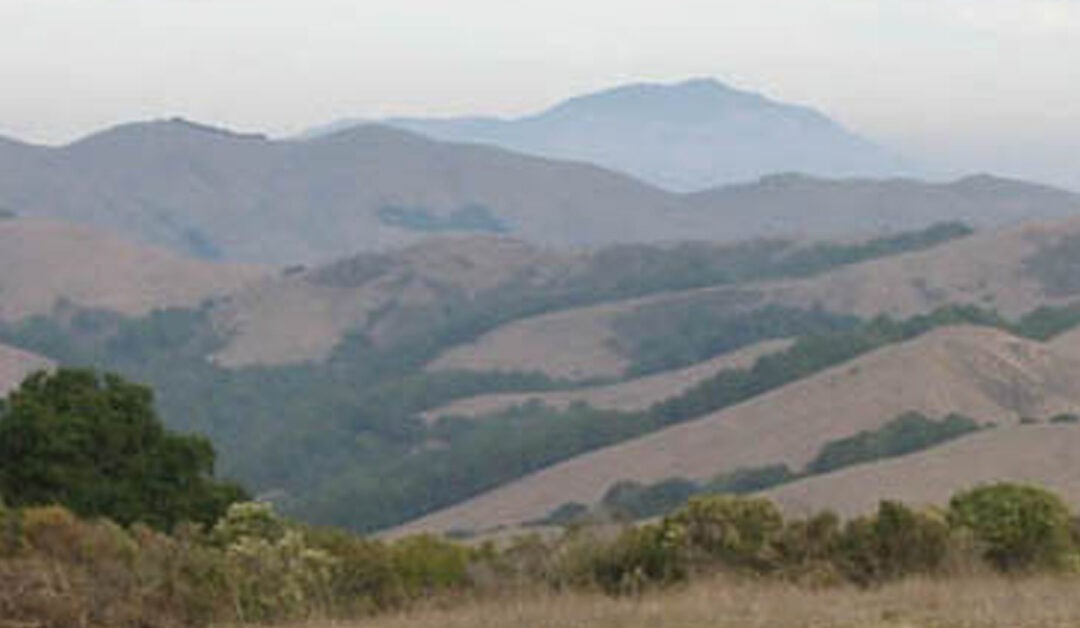 View from Dinosaur Peak Reveals Old Treasures