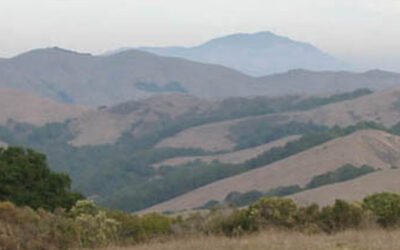 View from Dinosaur Peak Reveals Old Treasures