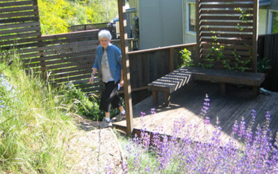 Deck as Bridge across Concrete Trench