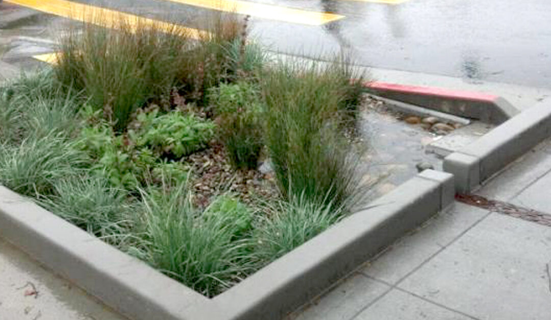 Madroño Certified as Green Infrastructure Contractor