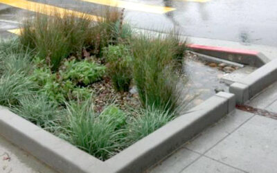 Madroño Certified as Green Infrastructure Contractor