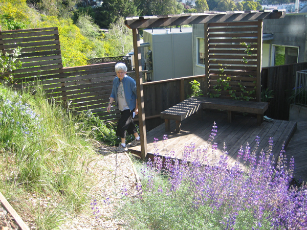 We thereby join this backyard garden to its watershed, and encourage human circulation into the system via built objects both durable and pleasing to the eye. 