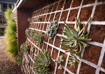 Vertical Landscaping in Glen Park, San Francisco, CA