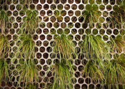 Vertical Landscaping in Glen Park, San Francisco, CA