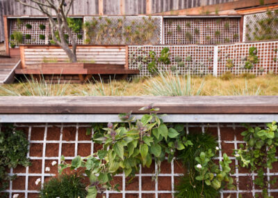 Vertical Landscaping in Glen Park, San Francisco, CA