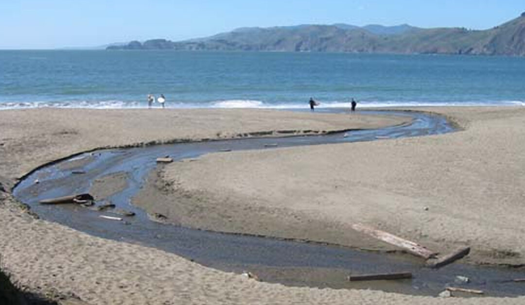 One lone open waterway remains: Lobos Creek, which winds through the southwestern Presidio and pours into the Pacific at the southern tip of Baker Beach.