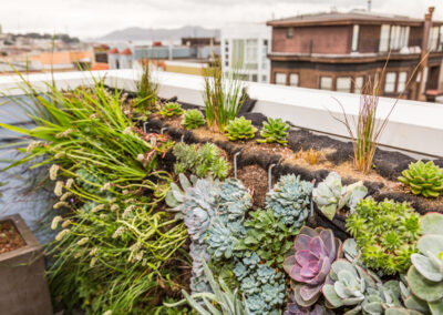 Modern free-standing green wall with a million-dollar-view of San Francisco Bay.