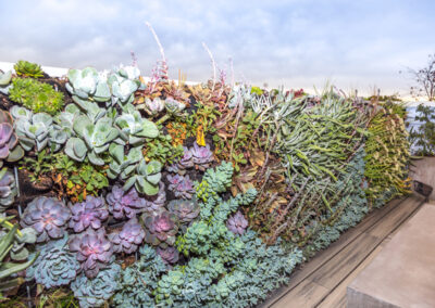 Beach grasses and succulents evoke the local bayfront setting.