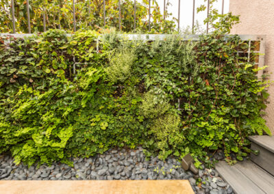 Ferns and strawberries compete for dominance in a free-standing garden green wall composed of perforated steel.