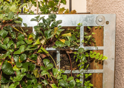 Close-up of galvanized steel panel with 3-1/2