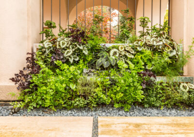 Free-standing green wall as privacy screen in residential kitchen garden