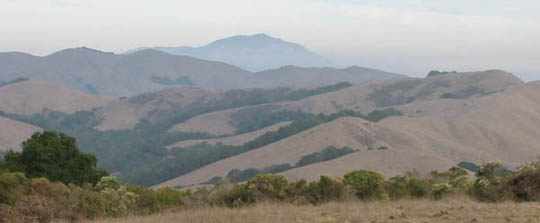 VIEW FROM DINOSAUR PEAK REVEALS EAST BAY TREASURES
