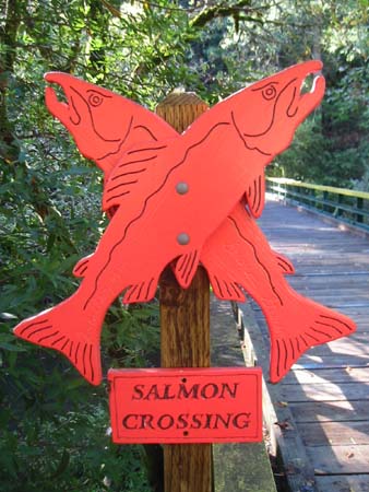 Salmon crossing sign