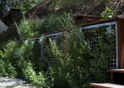 Living wall of California native plants including Yerba Buena, redwood sorrel, idaho fescue, dwarf aster, chalk dudleya, local sedum, and more. The framing is redwood and perforated steel.