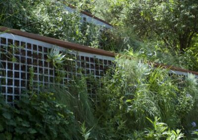 Living wall of California native plants including Yerba Buena, redwood sorrel, idaho fescue, dwarf aster, chalk dudleya, local sedum, and more. The framing is redwood and perforated steel.