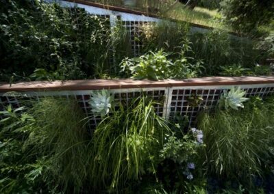 Living wall of California native plants including Yerba Buena, redwood sorrel, idaho fescue, dwarf aster, chalk dudleya, local sedum, and more. The framing is redwood and perforated steel.