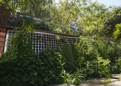 Living wall of California native plants including Yerba Buena, redwood sorrel, idaho fescue, dwarf aster, chalk dudleya, local sedum, and more. The framing is redwood and perforated steel.