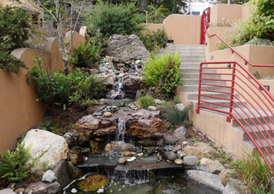 Forest Hill Waterfall & Koi Pond