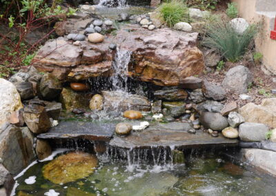 Forest Hill Waterfall & Koi Pond