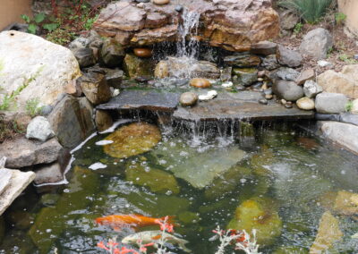 Forest Hill Waterfall & Koi Pond