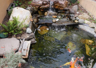 Forest Hill Waterfall & Koi Pond