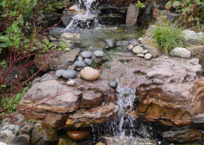 Forest Hill Waterfall & Koi Pond