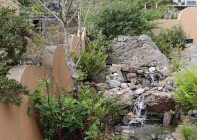 Forest Hill Waterfall & Koi Pond