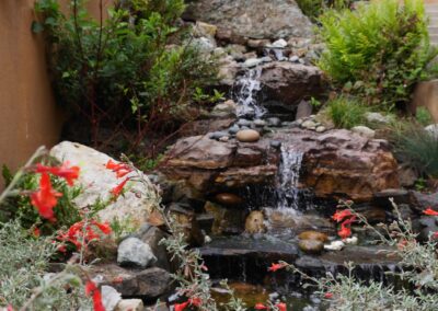 Forest Hill Waterfall & Koi Pond