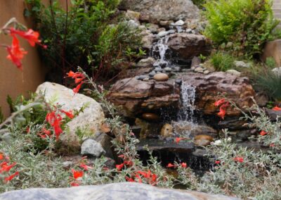 Forest Hill Waterfall & Koi Pond